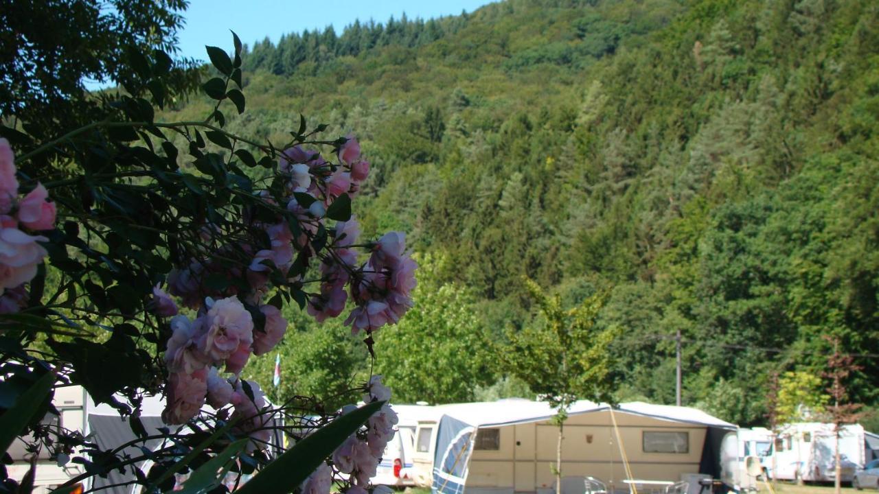 Wies-neu Campingplatz